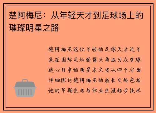 楚阿梅尼：从年轻天才到足球场上的璀璨明星之路