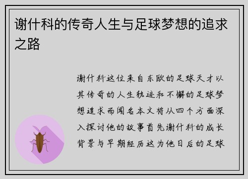 谢什科的传奇人生与足球梦想的追求之路