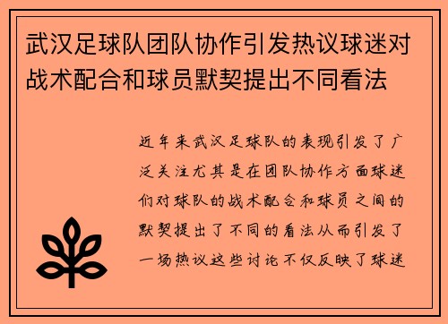 武汉足球队团队协作引发热议球迷对战术配合和球员默契提出不同看法